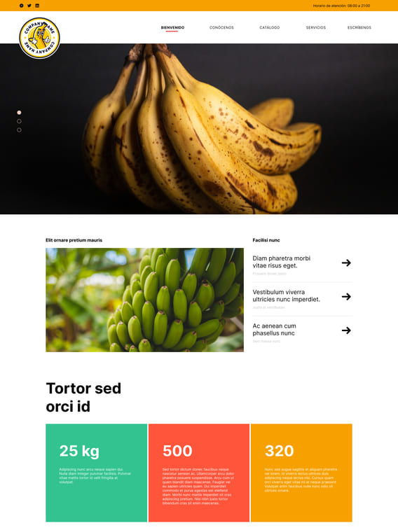 Página Web de Cápsula Digital|Banano