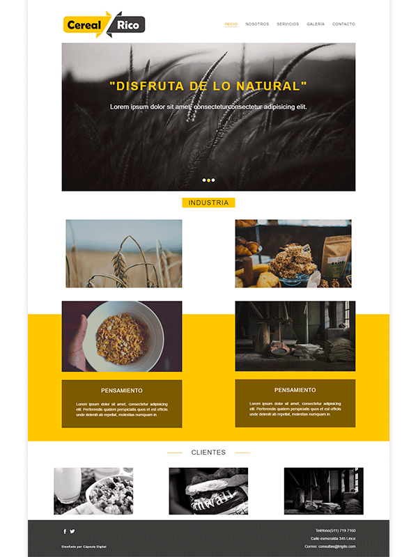 Página Web de Cápsula Digital|Cereal Rico