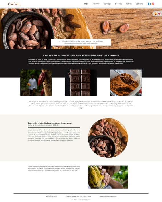 Página Web de Cápsula Digital|Cacao 2