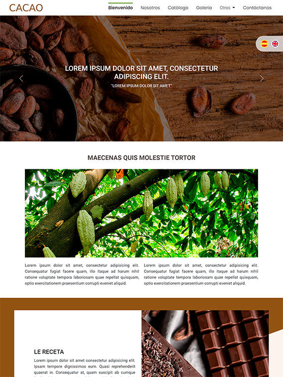 Página Web de Cápsula Digital|Cacao 1
